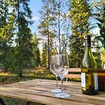 度假居 Lapland Landscape Xxl With Nature View, Sauna, Fireplace & Kitchen, Sodankylae, Luosto, Fell Village 洛斯托