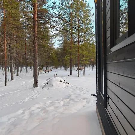 Landscape - Fell Village Xxl, Nature View With Sauna And Fireplace, Yllaes 5min Semesterbostad Muonio