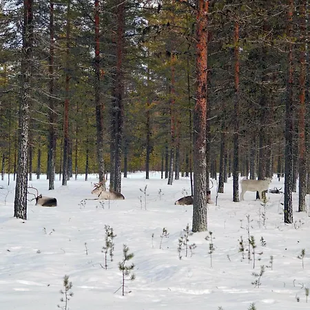 Semesterbostad Landscape - Fell Village Xxl, Nature View With Sauna And Fireplace, Yllaes 5min *
