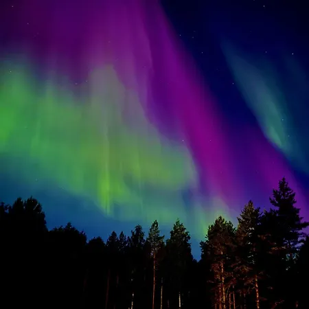 Lapland Landscape Xxl With Nature View, Sauna, Fireplace & Kitchen, Sodankylae, Luosto, Fell Village Ferienhaus *