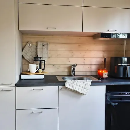 Ferienhaus Lapland Landscape Xxl With Nature View, Sauna, Fireplace & Kitchen, Sodankylae, Luosto, Fell Village *