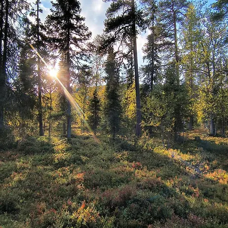 Lapland Landscape Xxl With Nature View, Sauna, Fireplace & Kitchen, Sodankylae, Luosto, Fell Village