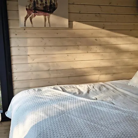 Lapland Landscape Xxl With Nature View, Sauna, Fireplace & Kitchen, Sodankylae, Luosto, Fell Village *