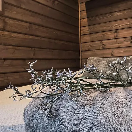別荘 Fell Village Xxl Superior Cabin ルオスト